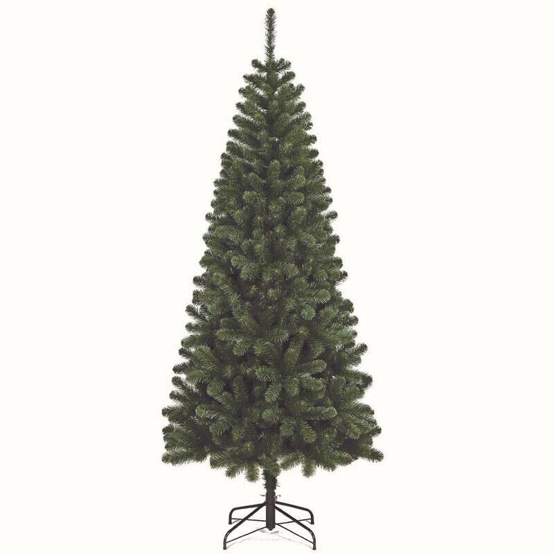 Albero Kenya - 150 cm