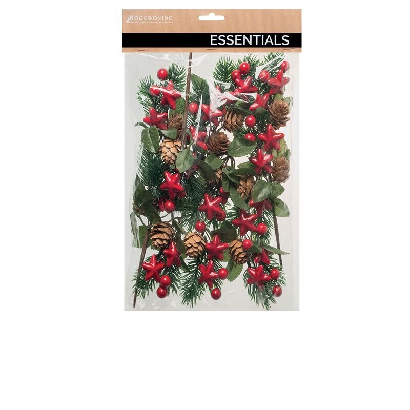 Hogewoning Picks Pigne, Bacche e Stelle in Box - H 17 cm