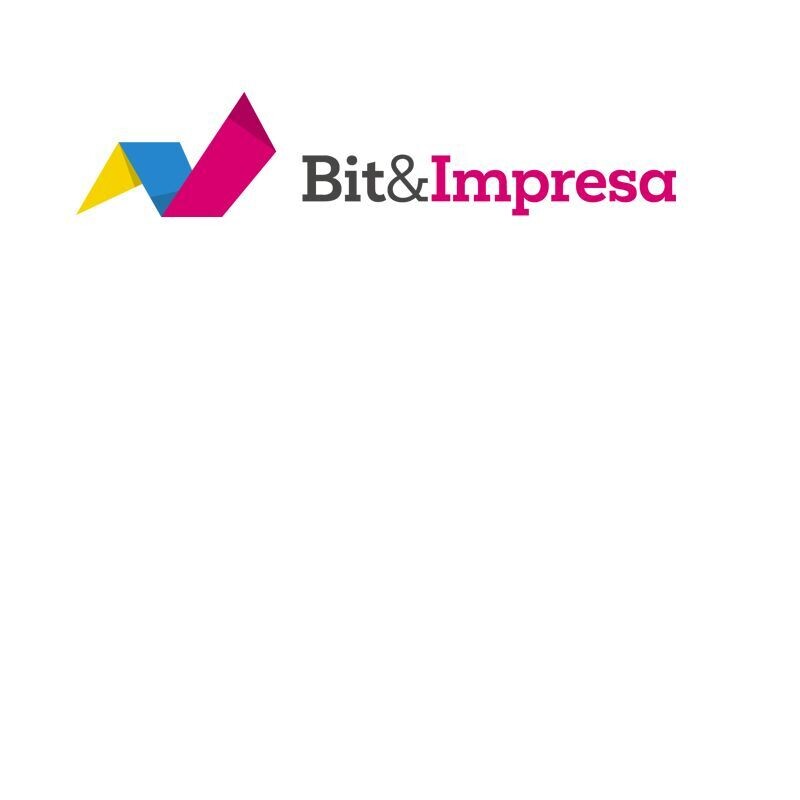 Bit & Impresa Professional ( Fatture Emesse e Ricevute )