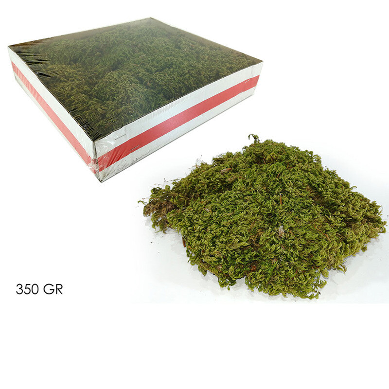 Tappeto vero Muschio naturale 350 gr