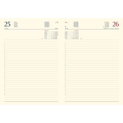 Ricambio 2027 per Agenda Giornaliera senza anelli - 15x20,5 cm Ricambio 2027 per Agenda Giornaliera senza anelli - 15x20,5 cm