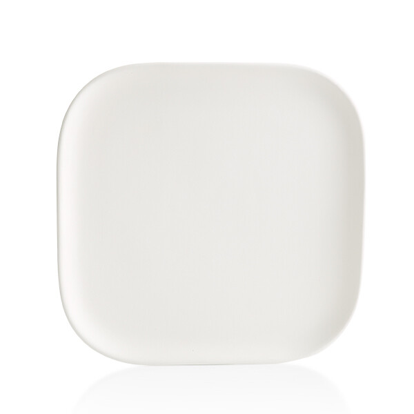 Squircle Dinner Plate