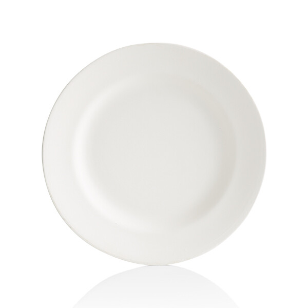 Round Rimmed Dinner Plate*