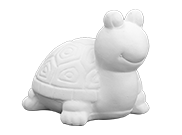 Speedy Turtle*