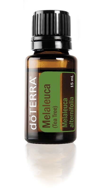 Tea Tree Essential Oil