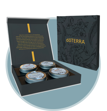 Shea Butter Collection