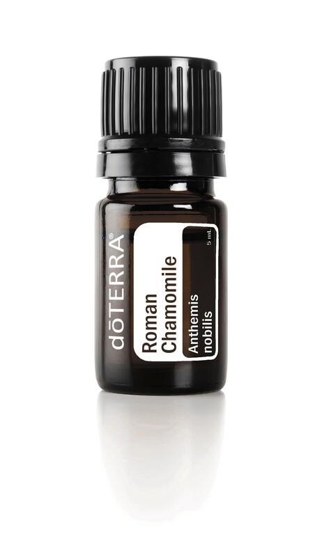 Roman Chamomile Essential Oil