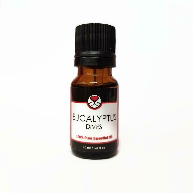 Eucalyptus Dives Essential Oil