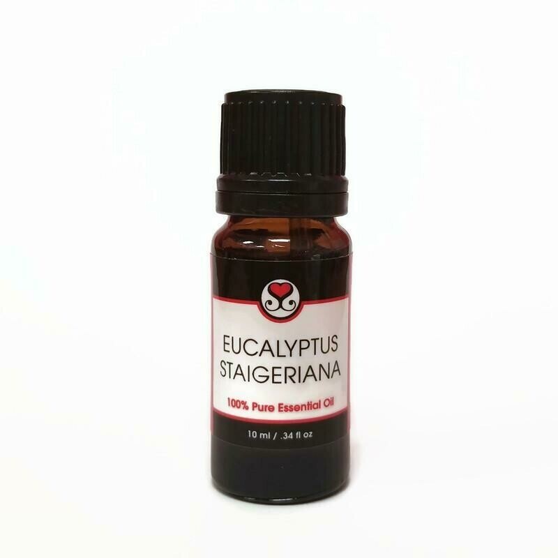 Eucalyptus Staigeriana Essential Oil