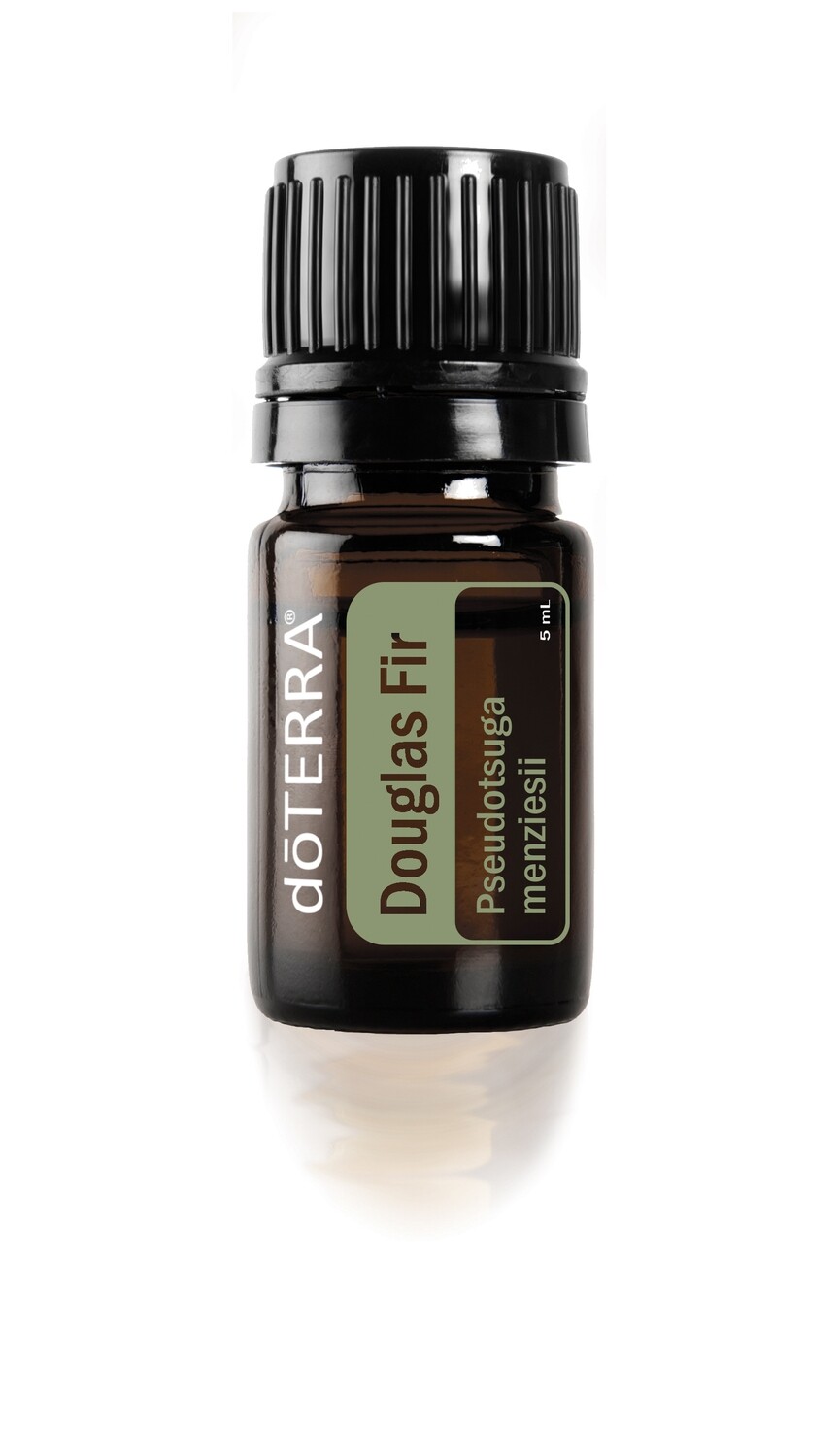 Douglas Fir Essential Oil