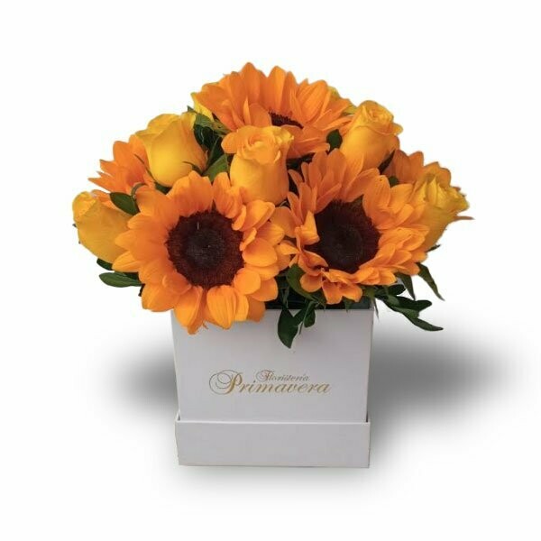 10 Rosas Amarilla y 7 Girasoles en Caja Cuadrada