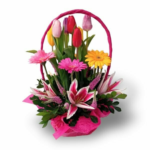 7 Tulipanes, 4 Gerberas y 4 Lilium en Canasta Forrada