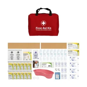 First Aid Kit, Ontario WSIB Level 2(16-200 employees), nylon bag