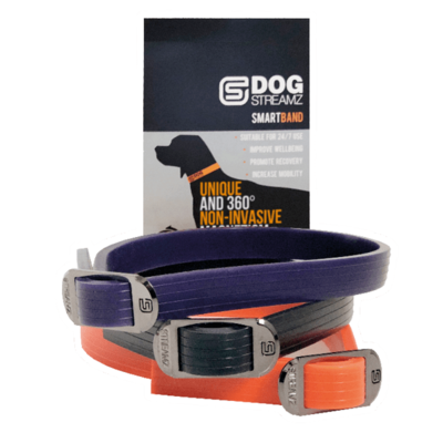 DogStreamZ Magnetic Bands