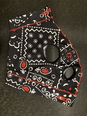 Hidez Printed Mask - Choose Small or Medium  in-stock “bandana ” print