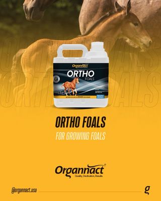 Organnact Ortho Foals - Healthy development and growth