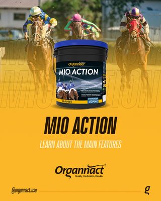 Organnact - Mio Action