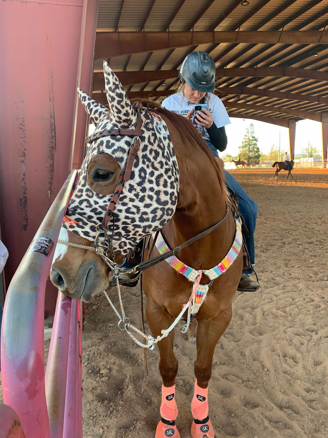 Hidez Compression mask- Printed pattern with ears (no logos, pattern only)