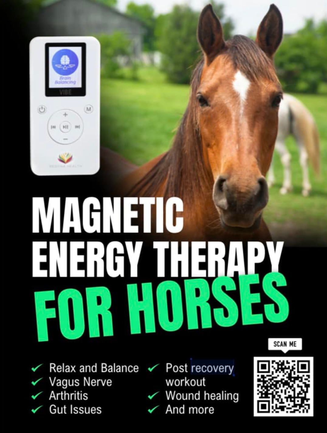 VIBE pocket PEMF for horses