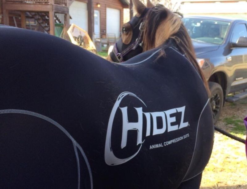 Hidez Suit -Display SAVES YOU MONEY - BLUE - 17h