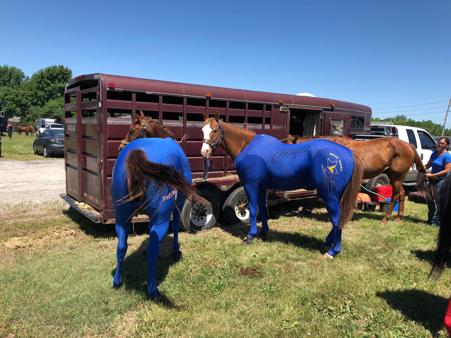 Hidez Suit -Display SAVES YOU MONEY - blue- 15.2h mid fit