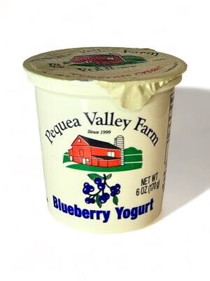 Pequea Valley Farm Yogurt With Blueberry 6oz(170g)