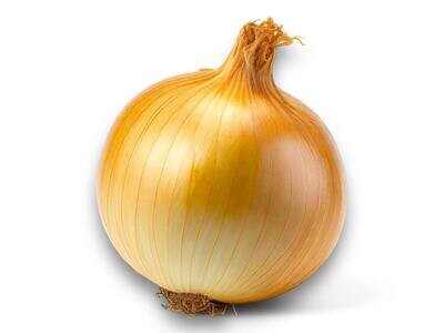 Spanish Onion Large / 1 pc (0.9lb)