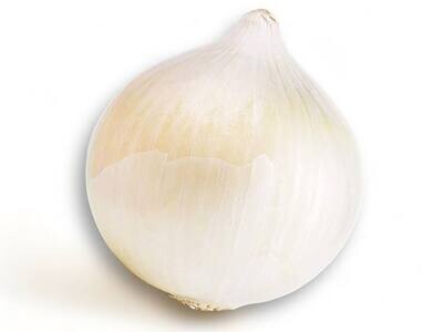 White Onion Large/ 1 pc (0.8lb)