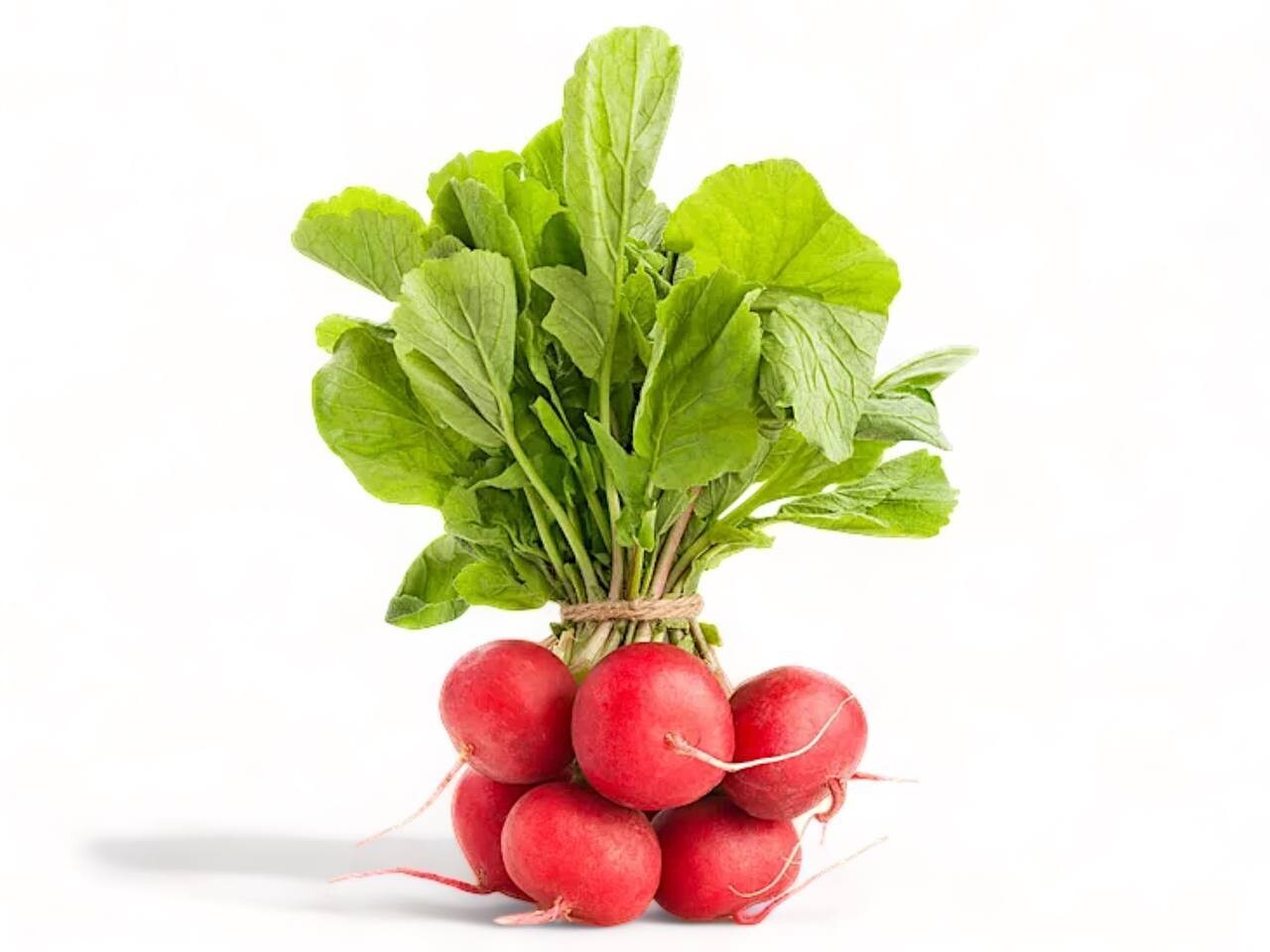 Red Radish Bunch