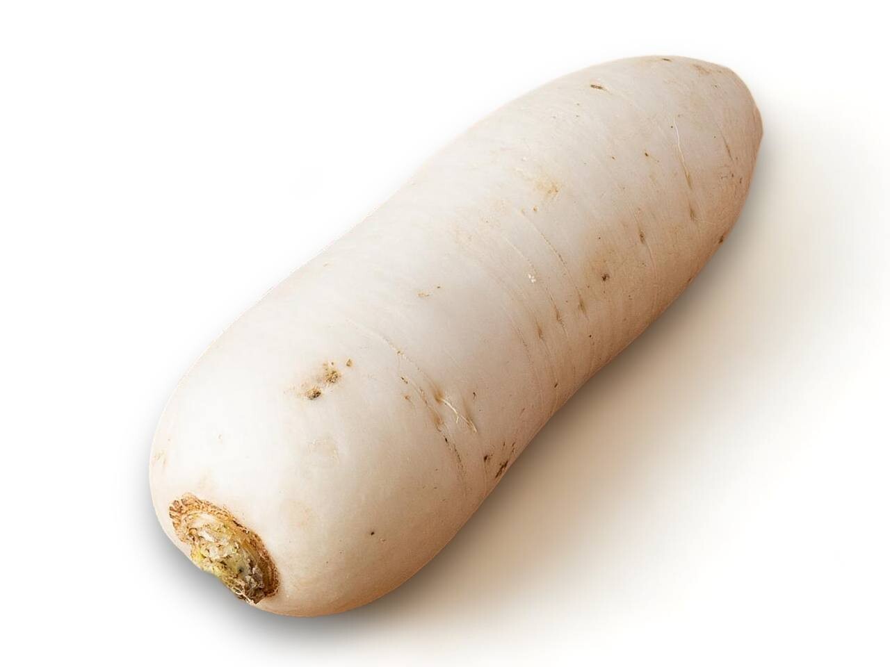 Daikon Radish / Lb