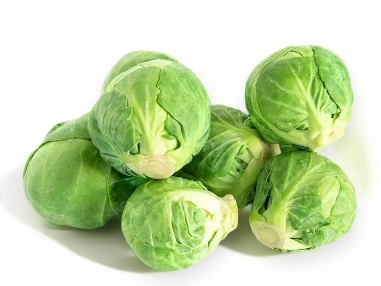 Brussel /1Lb.