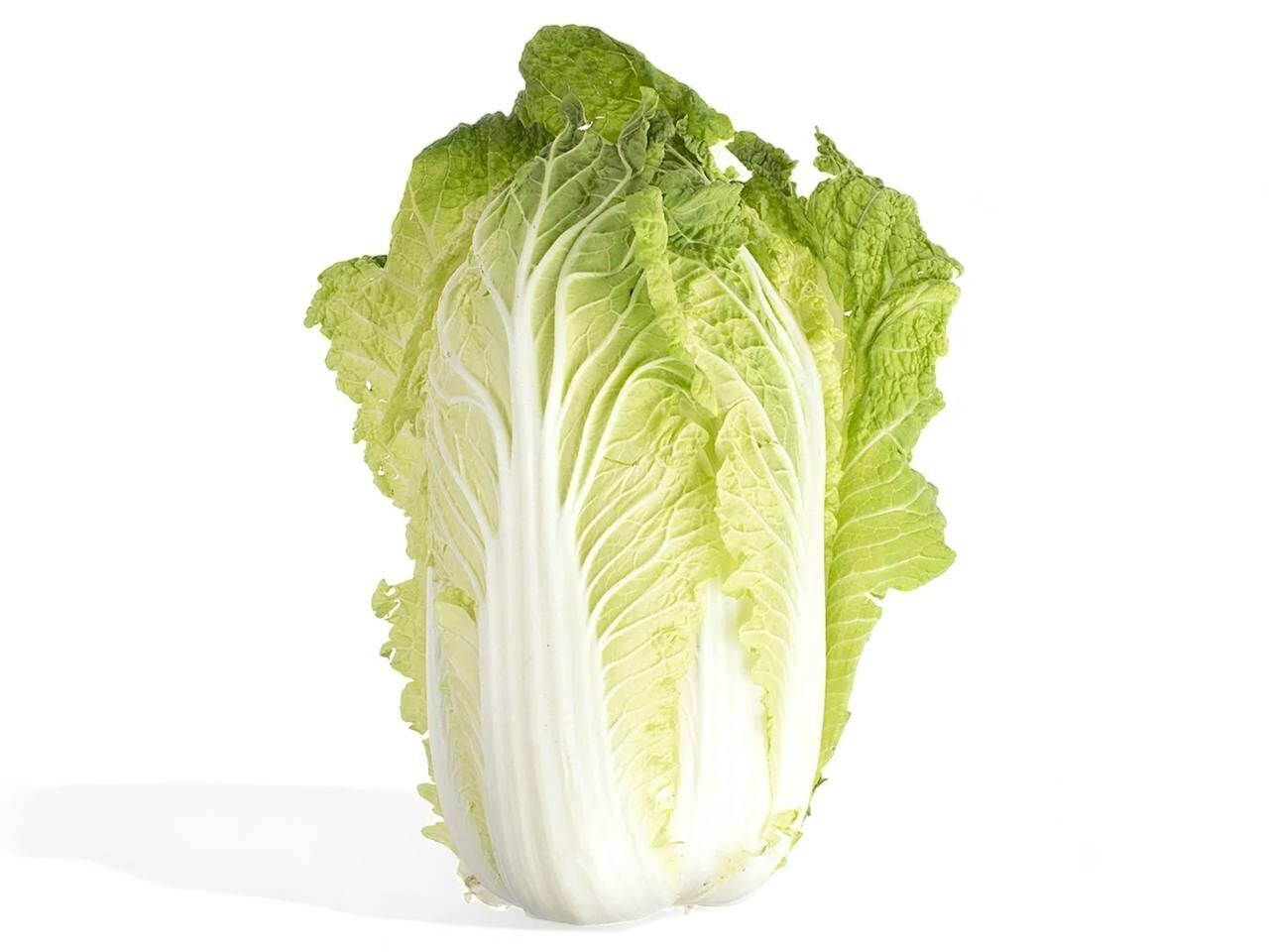 Nappa Cabbage / ea.