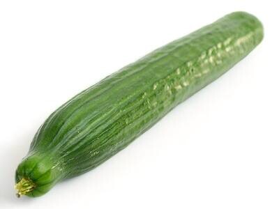 English Cucumber / ea.