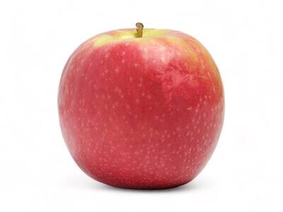Pink Lady Apple / 1 pc (0.4lb)
