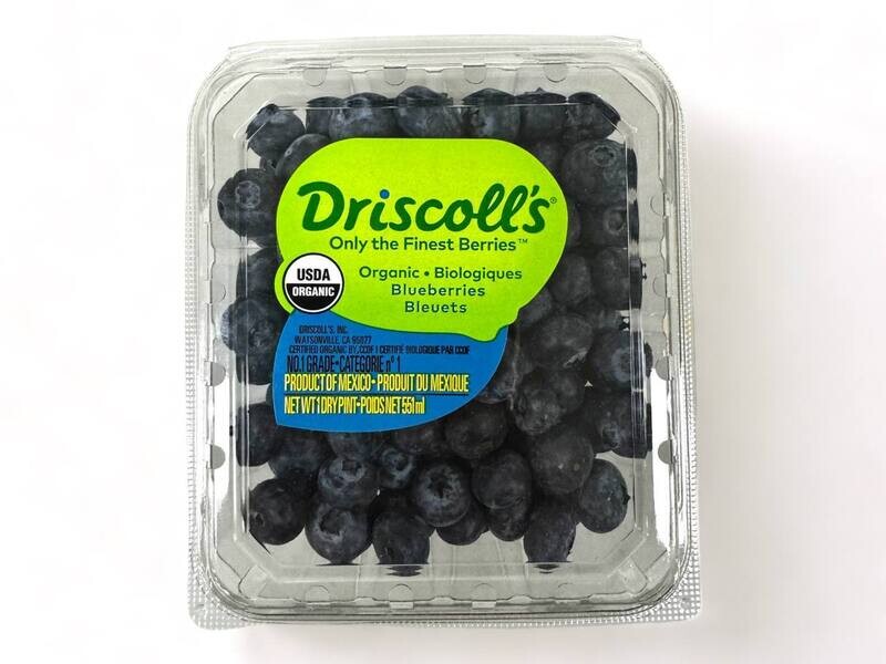 Organic Blueberries / 551ml