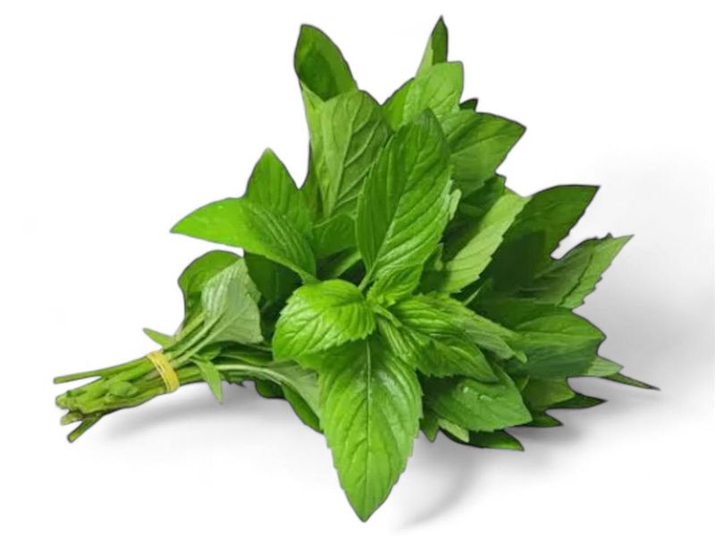 Mint Bunch