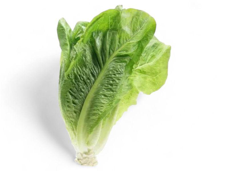 Romaine Lettuce / 1 pc
