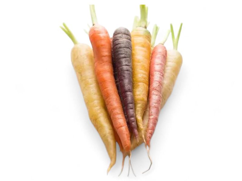 Rainbow Carrots / bunch