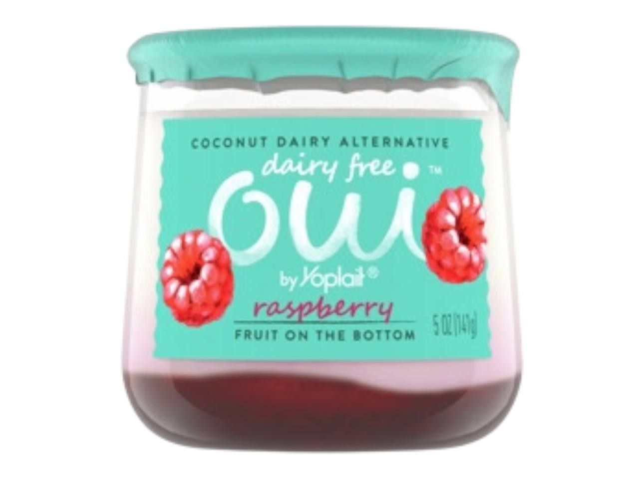 Dairy Free Raspberry Yogurt (141g)
