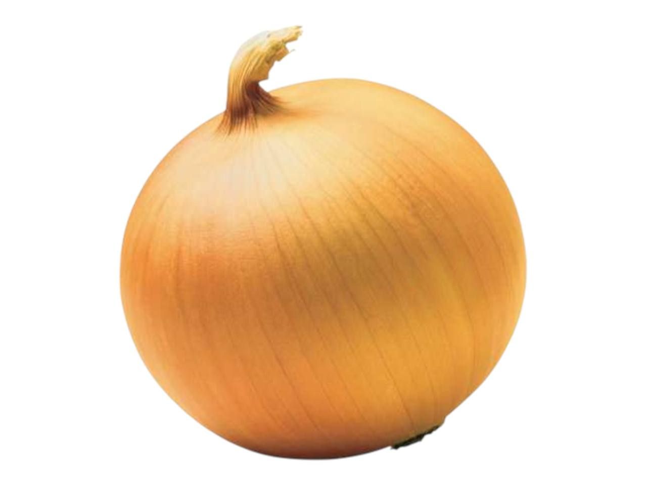 Vidalia Onion Organic / Lb