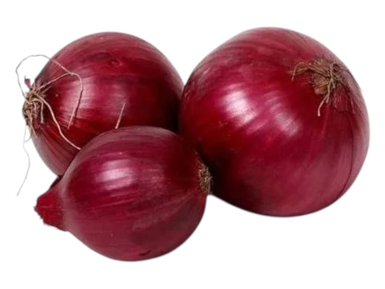 Organic Red Onion / Lb