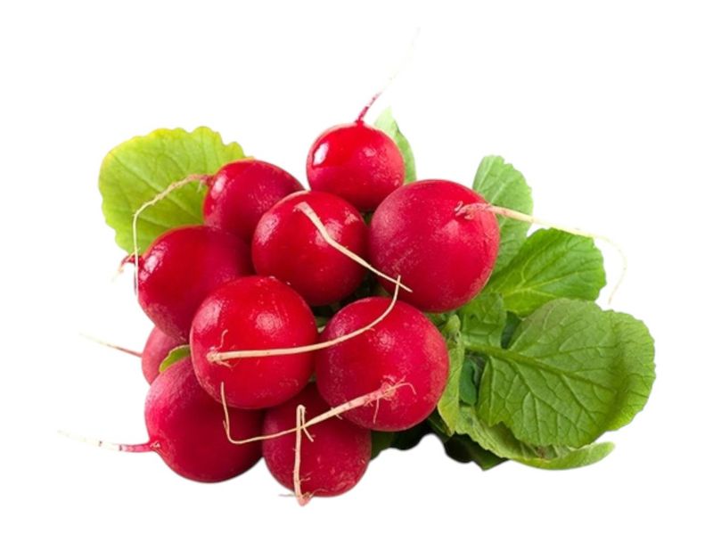 Organic Red Radish Bunch