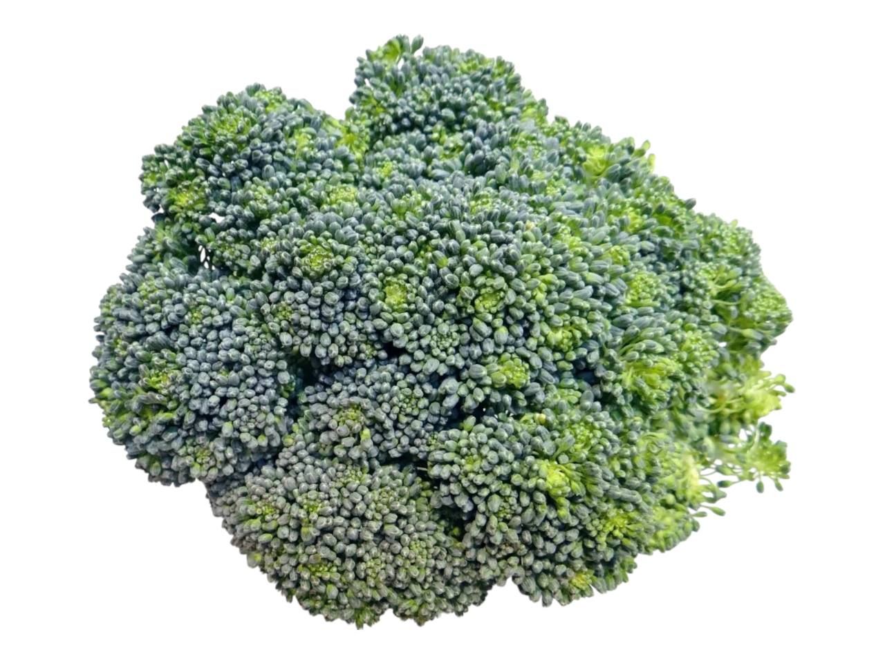 Organic Broccoli / bunch