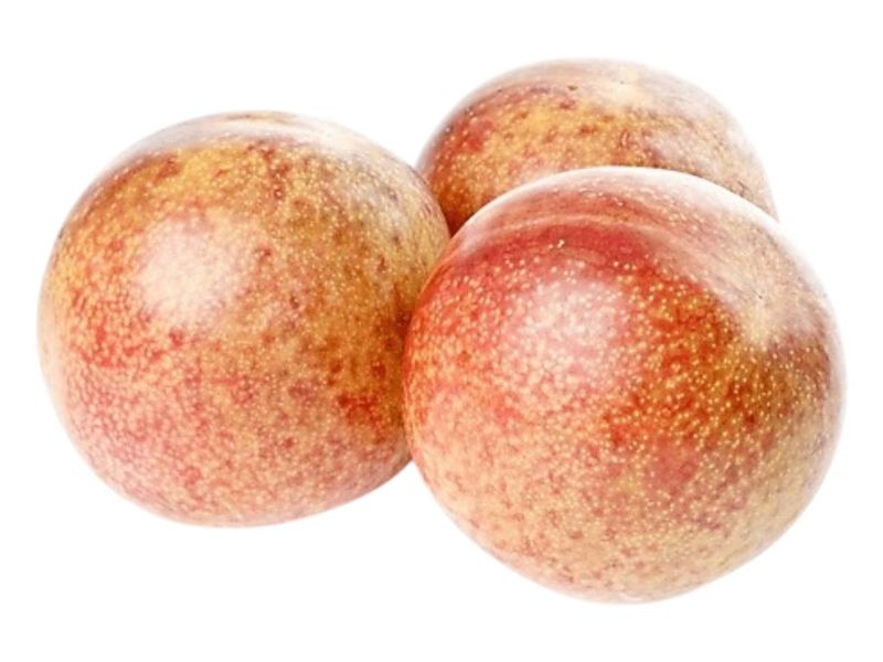 Plumcot Plum / Lb