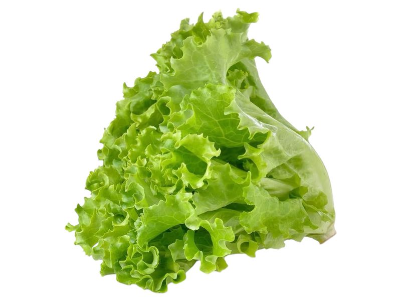 Green Leaf Lettuce /e.a