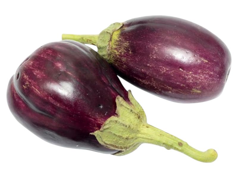 Eggplant baby /Lb