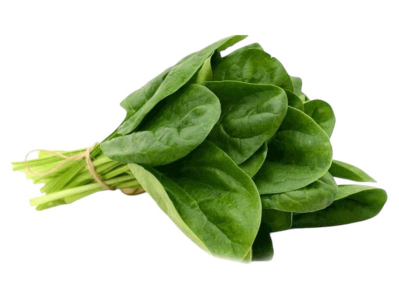 Spinach /bunch