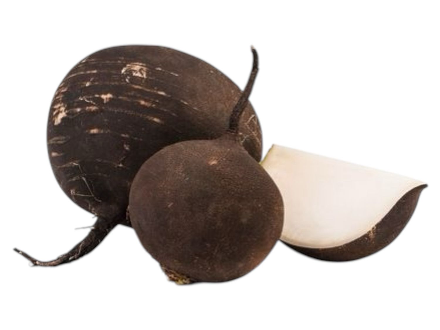 Radish black /Lb
