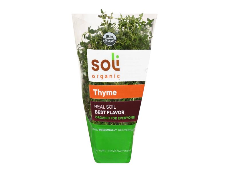 Organic Thyme /ea