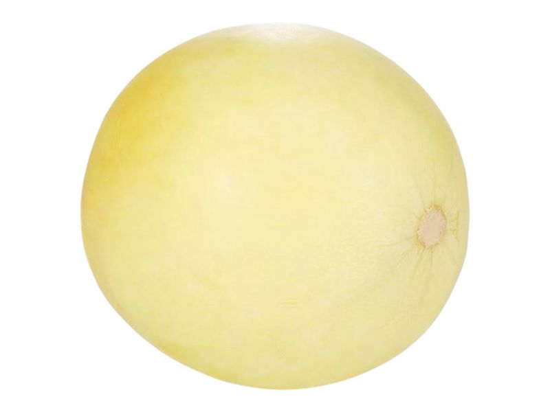 Honey Dew Melon /ea